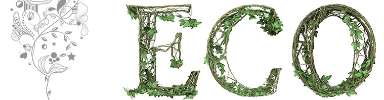 ecovino cata vinos logroño 2025